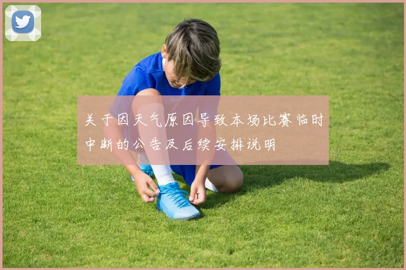 关于因天气原因导致本场比赛临时中断的公告及后续安排说明